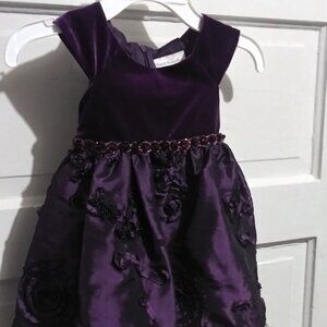 Sweet Heart Rose Toddler Royal Velvet Purple Floral Embellished Dress sz 2